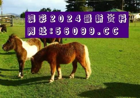 新澳门四肖八肖期期准最新版本,和印度成第四大经济体与印度是第四大经济体