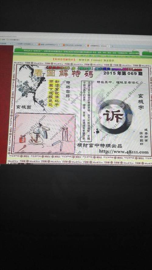 2025年5月30日 第15页
