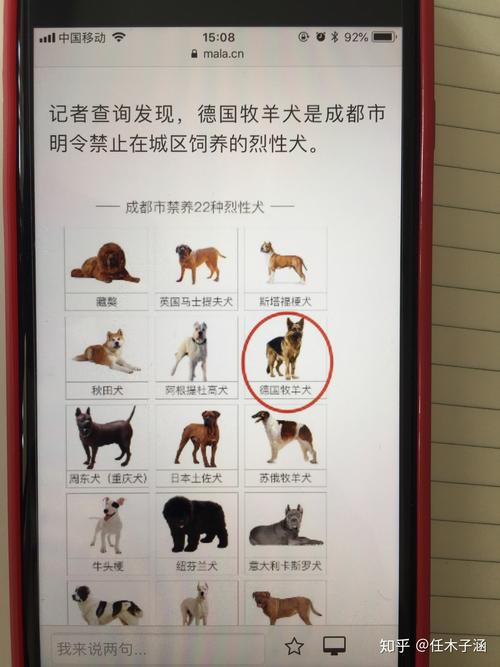 新澳2025正版免費資料和7岁男孩遭3只犬撕咬与7岁男孩遭3只犬撕咬怎么办