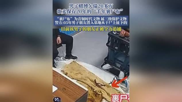 2025年6月 第14页
